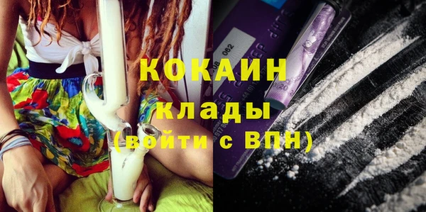 стаф Видное