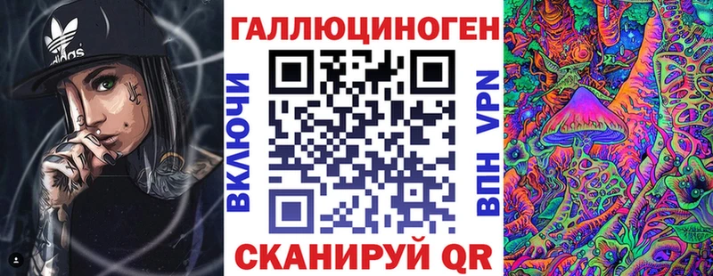 Галлюциногенные грибы Psilocybe  закладка  Торопец 